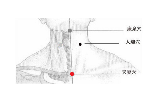 中医教你常按“天突”能治疗感冒咳嗽(图2)