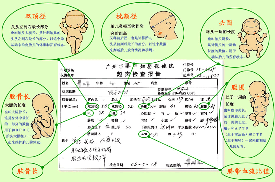 23周b超数据 23周b超数据标准