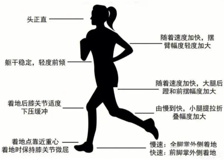 1500米跑步技巧